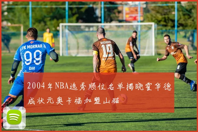 2004年NBA选秀顺位名单揭晓霍华德成状元奥卡福加盟山猫