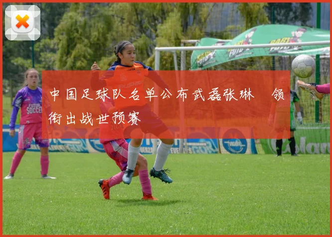 中国足球队名单公布武磊张琳芃领衔出战世预赛