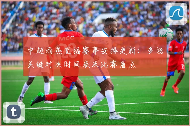 中超雨燕直播赛事安排更新：多场关键对决时间表及比赛看点