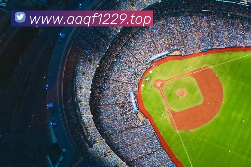 非凡体育官网首页平台生态图